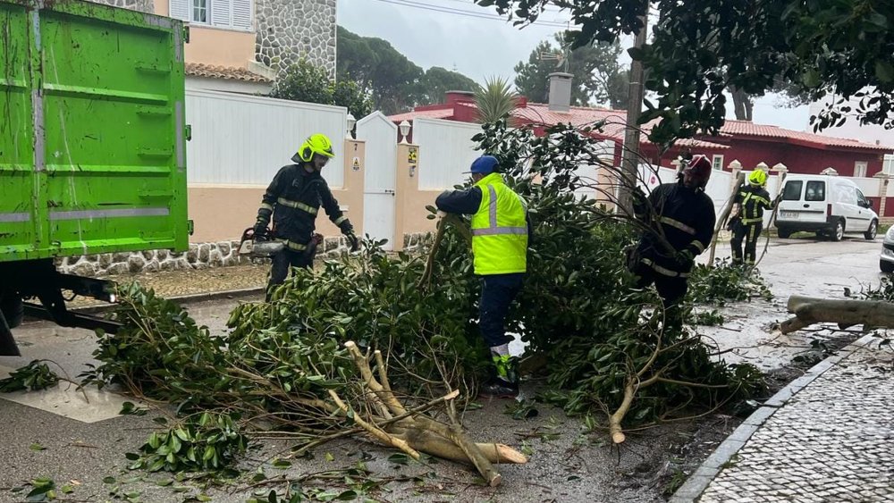 Tempestade Karlotta provoca 6 ocorrências na freguesia